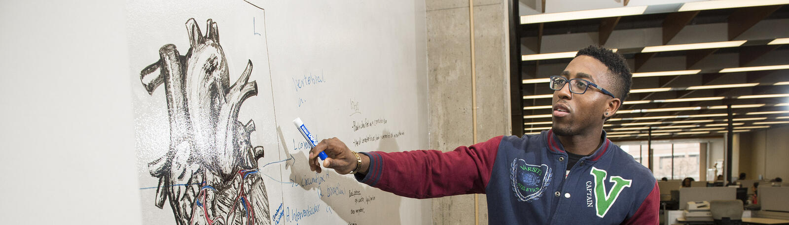 photo of a student looking at a diagram