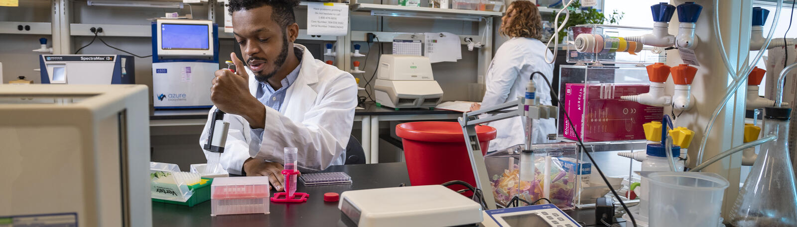 photo of students working in a lab