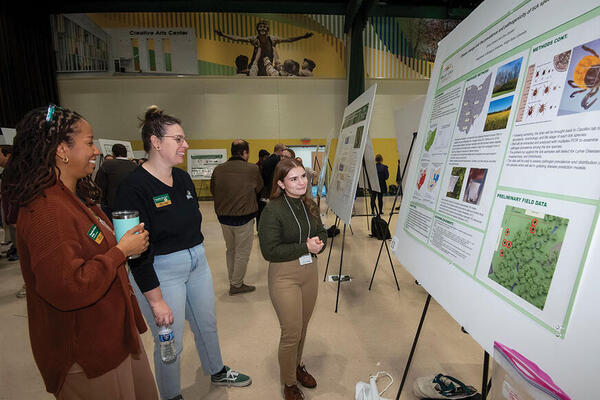 People looking at Festival of Research poster boards